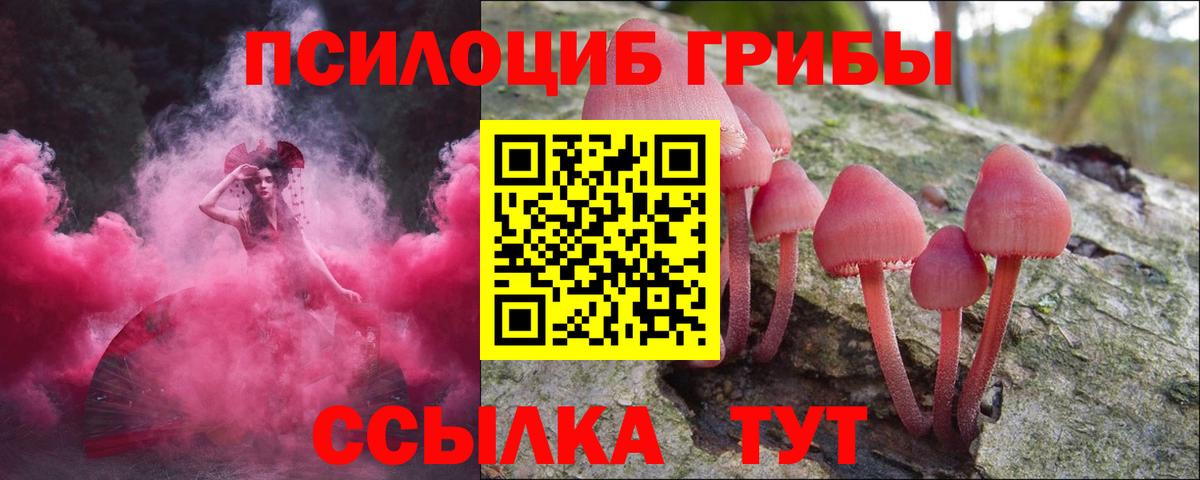 Псилоцибиновые грибы мухоморы  Вход с VPN  Нефтекумск 